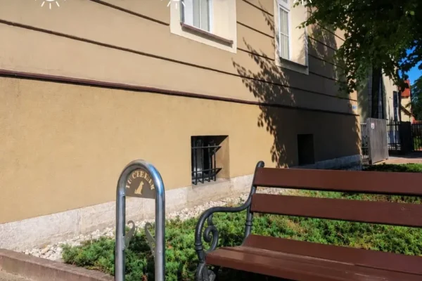 Upały: nie zapominajmy o zwierzętach – woda i cień to podstawa