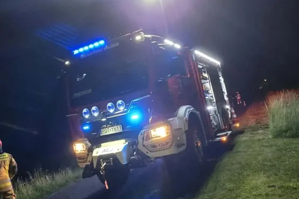 Kolizja dwóch aut w Kaliszkowicach Kaliskich. Na miejscu strażacy i policja