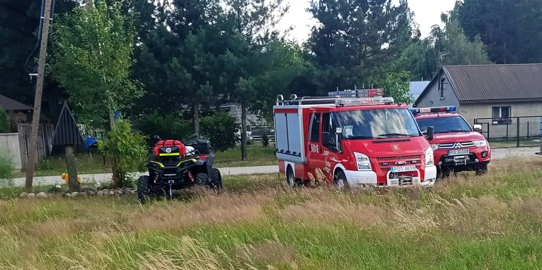 OSP Ostrzeszów interweniowało w środę przy gnieździe os i poszukiwaniach zaginionej osoby