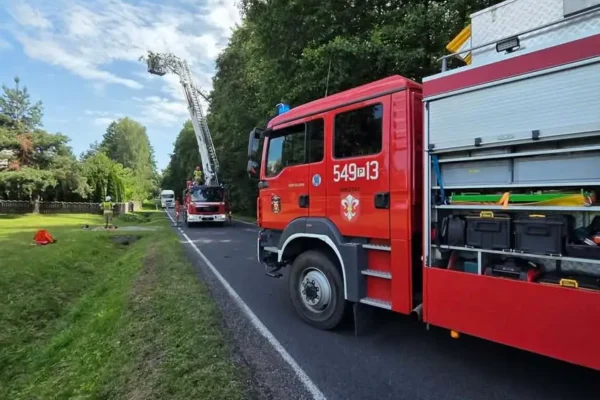 Pochylone drzewo na DW447 w Przedborowie – interwencja służb
