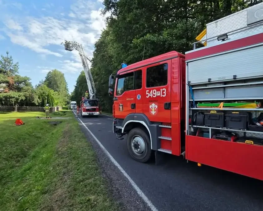 Pochylone drzewo na DW447 w Przedborowie – interwencja służb