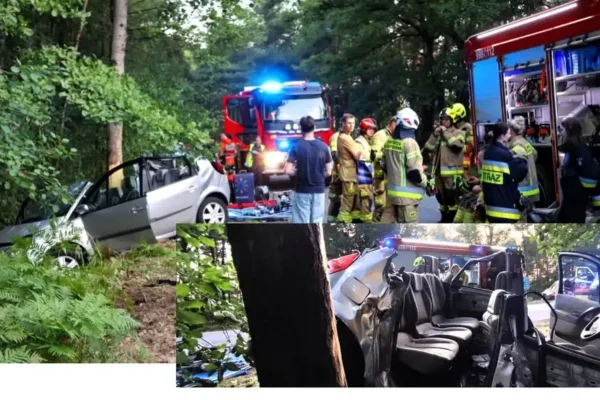 Wypadek w Czajkowie: pięć zastępów straży i pięć zespołów ratownictwa w akcji