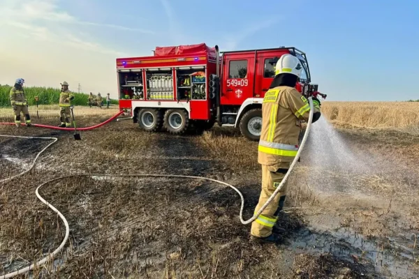 Pożar ścierniska w Kotłowie – strażacy walczą z ogniem