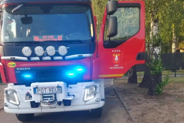 Zwisające konary na kąpielisku w Ostrzeszowie – interwencja strażaków