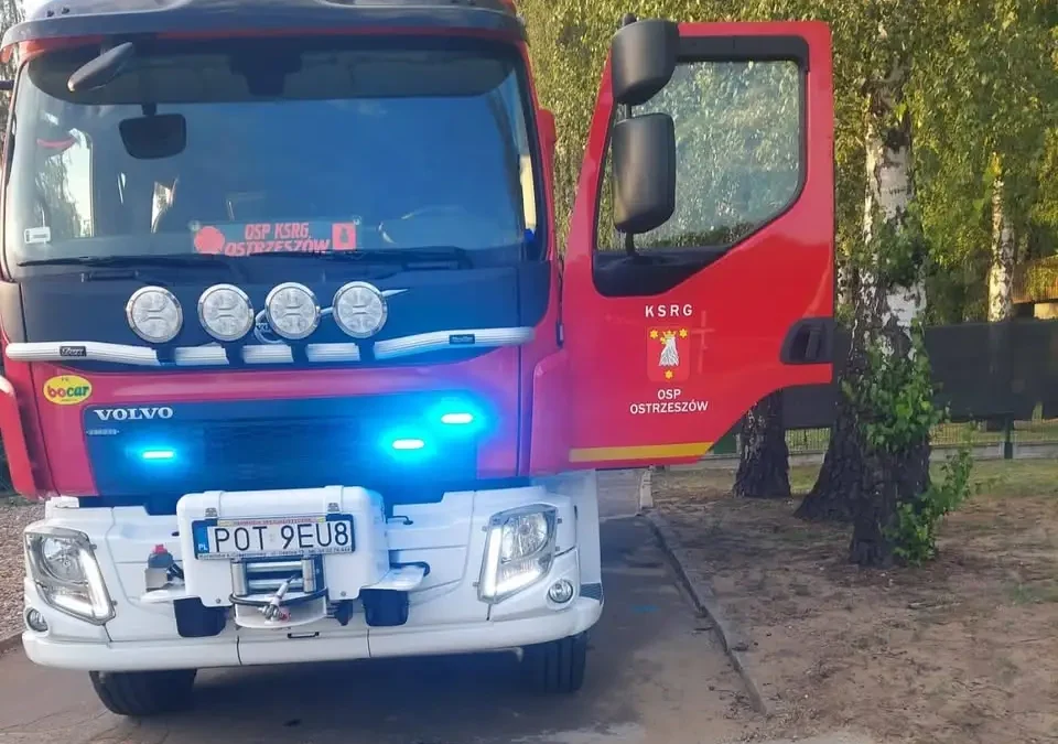 Zwisające konary na kąpielisku w Ostrzeszowie – interwencja strażaków