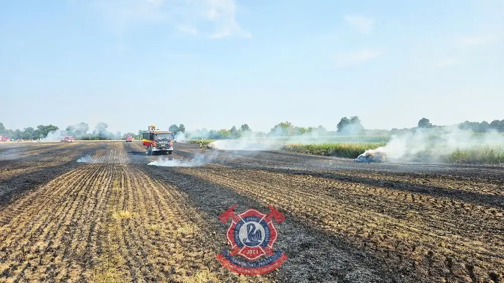 Pożar ścierniska i balotów w Giżycach – strażacy z kilku jednostek w akcji
