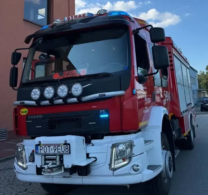 Dwa zgłoszenia w piątek: osy w Ostrzeszowie i ptak w Potaśni