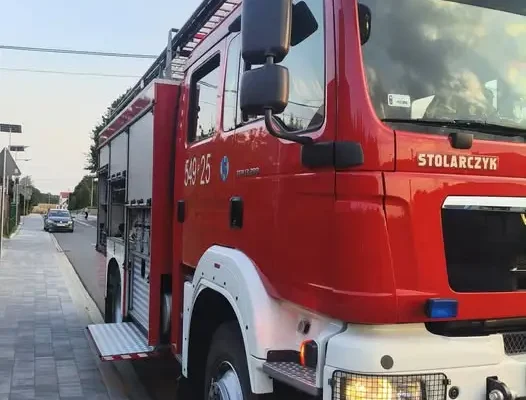 OSP Mielcuchy usunęło gniazdo owadów w Czajkowie