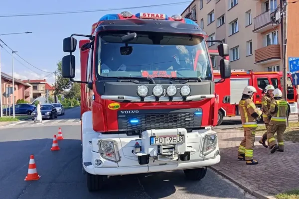 Interwencje strażaków w Ostrzeszowie: czujka dymu i gniazdo szerszeni