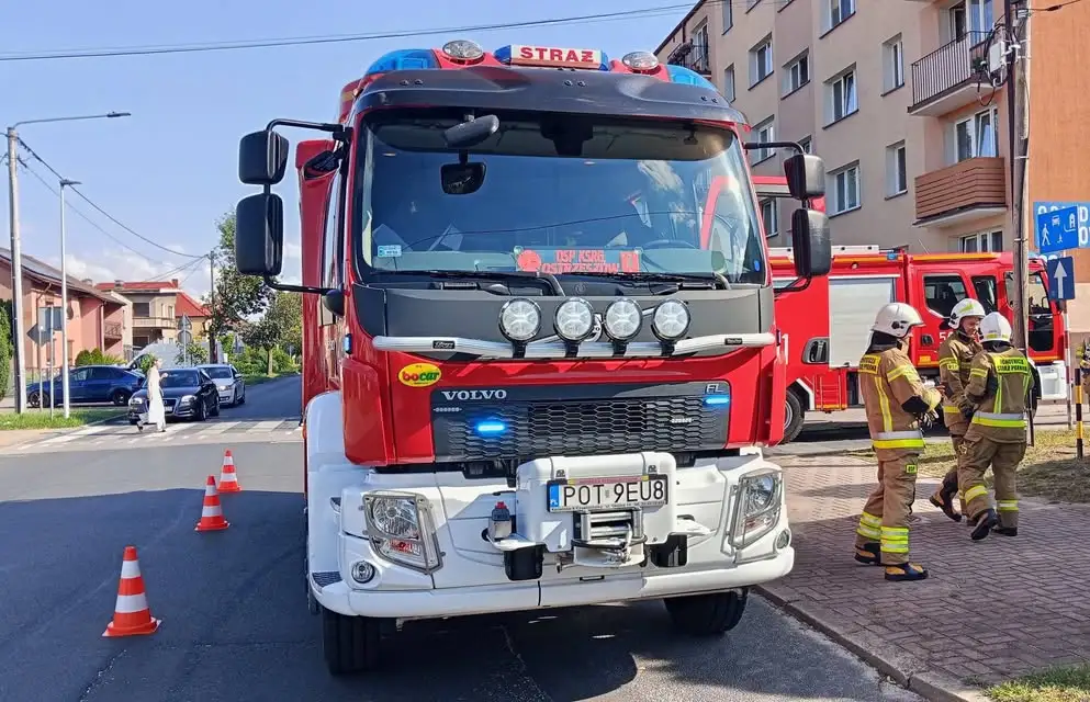 Interwencje strażaków w Ostrzeszowie: czujka dymu i gniazdo szerszeni