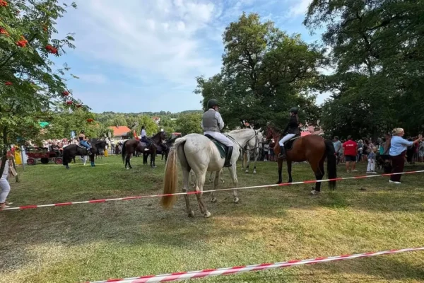 OSP Mikstat czuwało nad bezpieczeństwem podczas odpustu św. Rocha