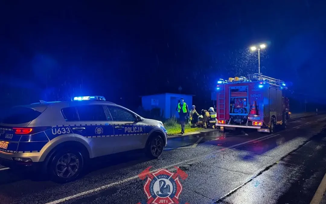 Kolizja z psem na drodze wojewódzkiej w Giżycach – interweniowali strażacy z OSP Grabów nad Prosną