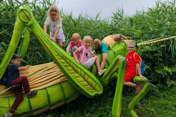 Wakacyjne wycieczki świetlic środowiskowych z Grabowa nad Prosną