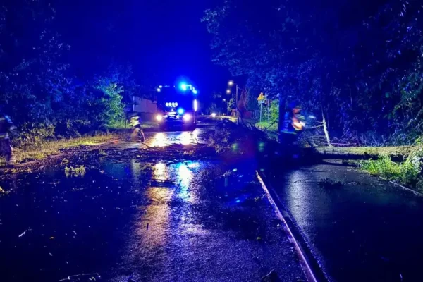 Mikstat: Drzewo przewrócone na jezdnię na ul. Kaliskiej