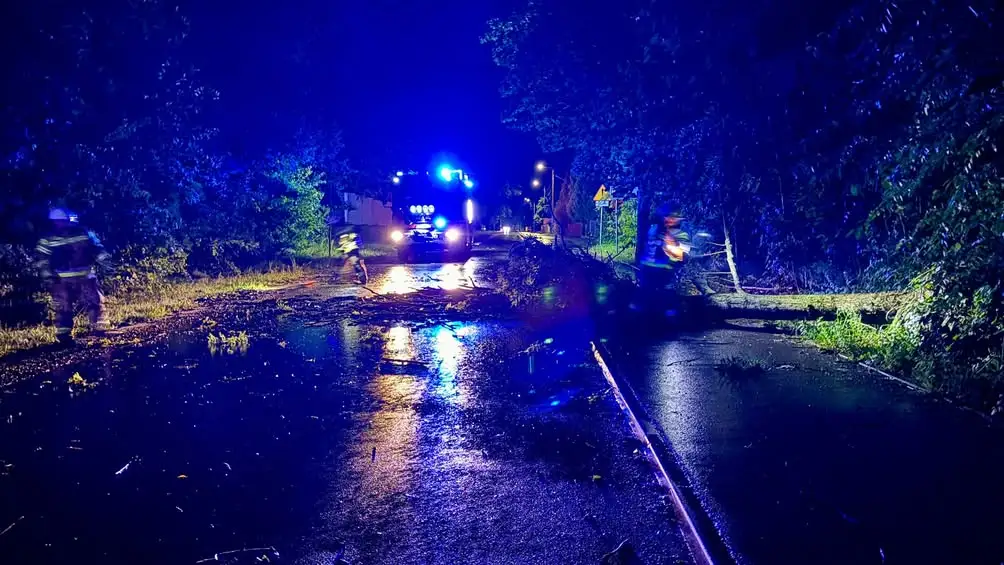 Mikstat: Drzewo przewrócone na jezdnię na ul. Kaliskiej