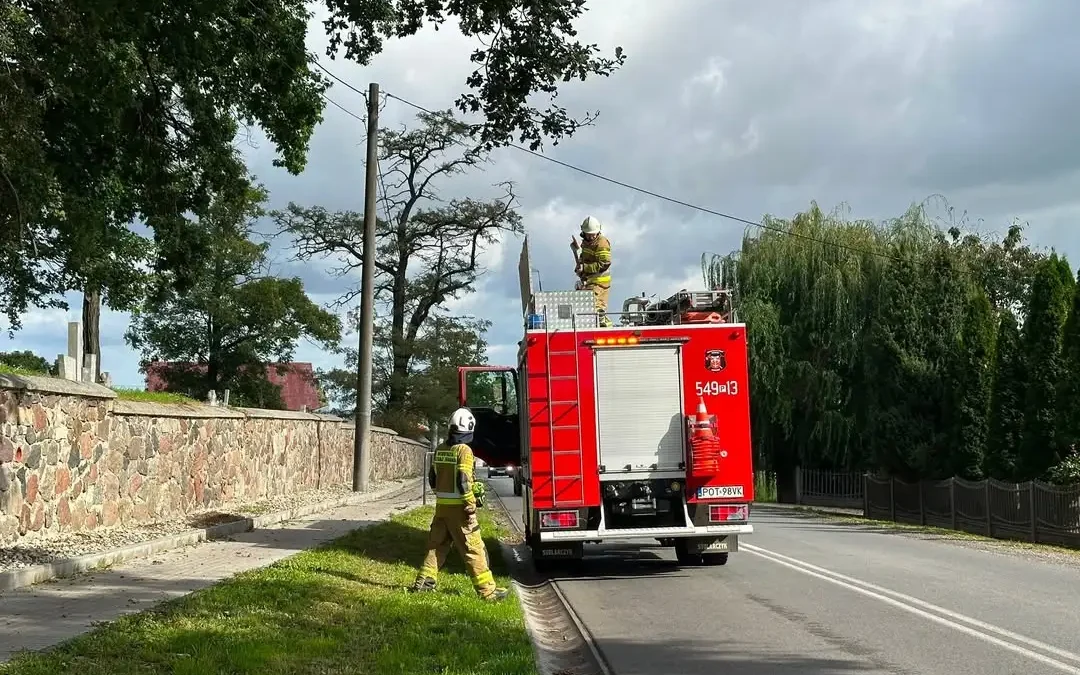 Kotłów: Zwisający konar nad jezdnią – interwencja strażaków