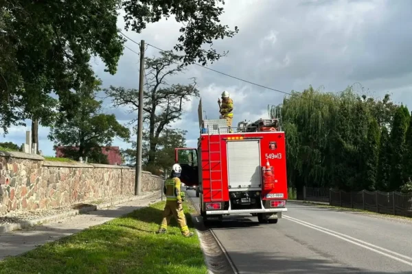 Kotłów: Zwisający konar nad jezdnią – interwencja strażaków