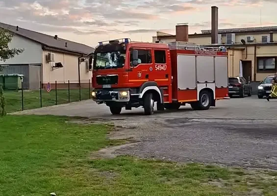 Strażacy z OSP KSRG Kraszewice usunęli gniazdo szerszeni z poddasza domu w Rencie