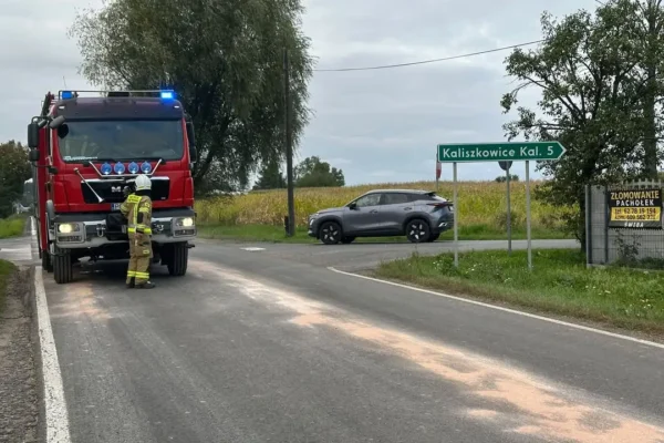 Wyciek substancji ropopochodnej na DW 447 w Mikstacie – akcja służb