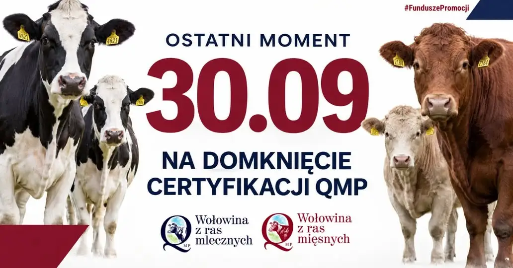 Certyfikat QMP: rolnicy mają czas tylko do 30 września 2026 r.