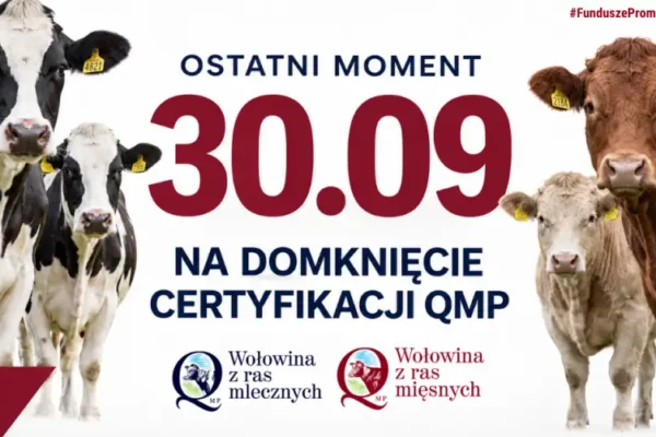 Certyfikat QMP — rolnicy z gminy Grabów nad Prosną mają czas tylko do 30 września