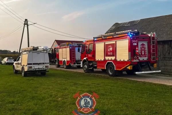 Pożar skrzynki elektrycznej w Grabowie-Wójtostwie. Interweniowały trzy zastępy straży