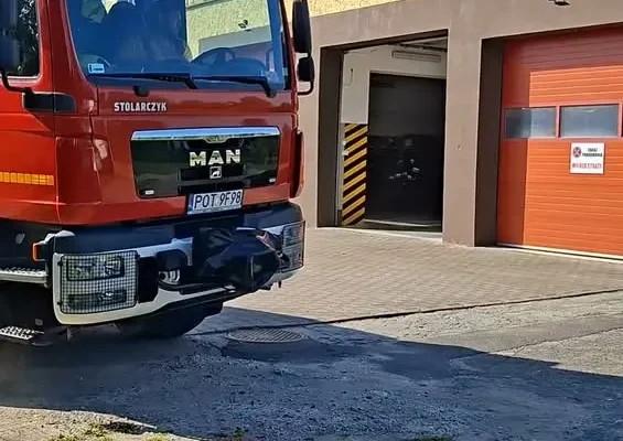 Interwencja strażaków z OSP Kraszewice: usuwanie gniazda os