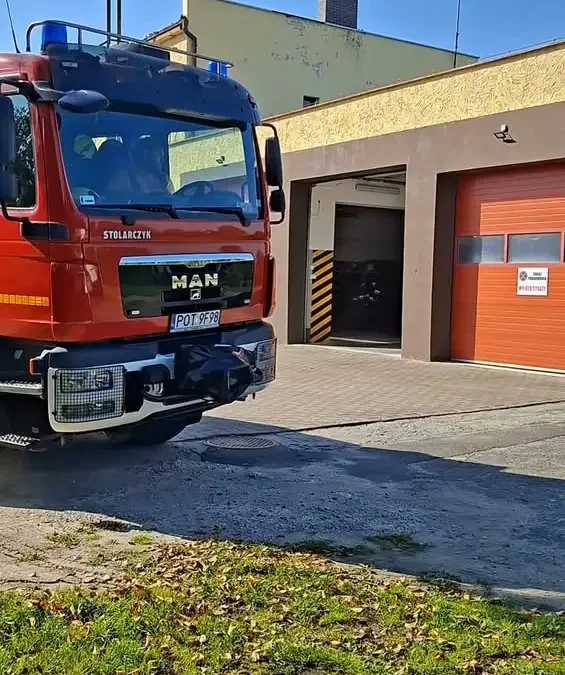Interwencja strażaków z OSP Kraszewice: usuwanie gniazda os