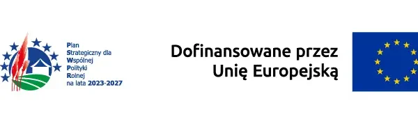 Place zabaw w Marszałkach i Giżycach przejdą modernizację