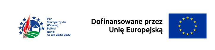 Place zabaw w Marszałkach i Giżycach przejdą modernizację
